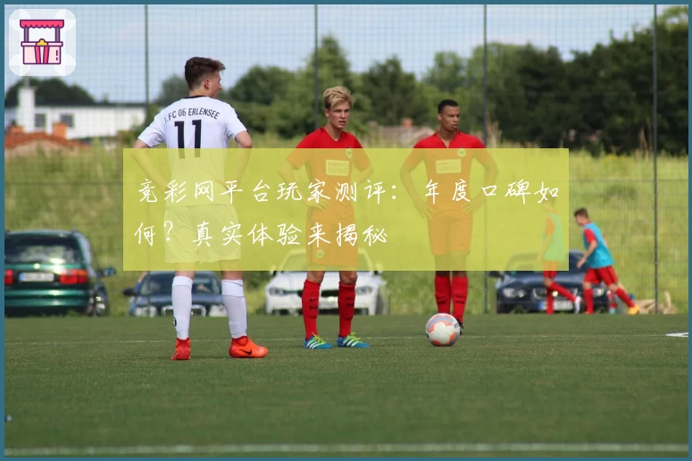 竞彩网平台玩家测评：年度口碑如何？真实体验来揭秘