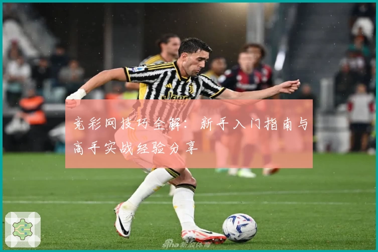 竞彩网技巧全解：新手入门指南与高手实战经验分享