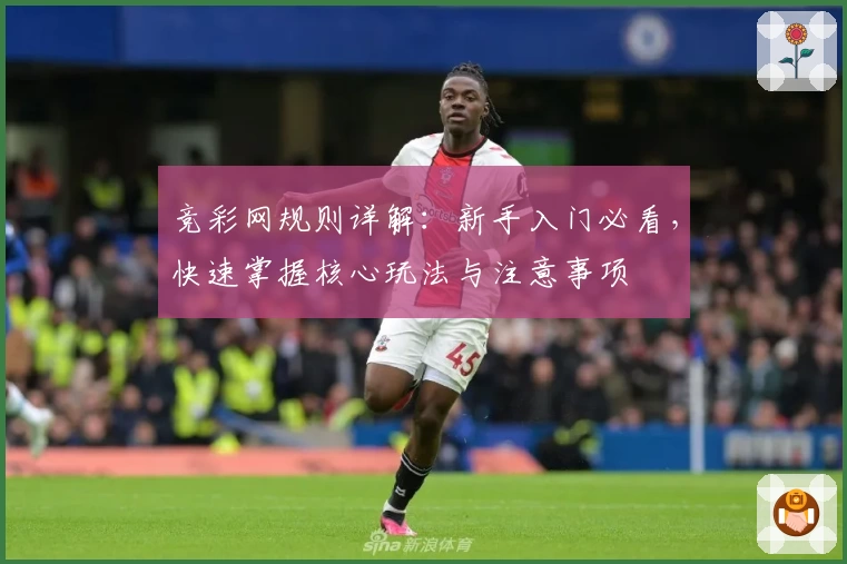 竞彩网规则详解：新手入门必看，快速掌握核心玩法与注意事项