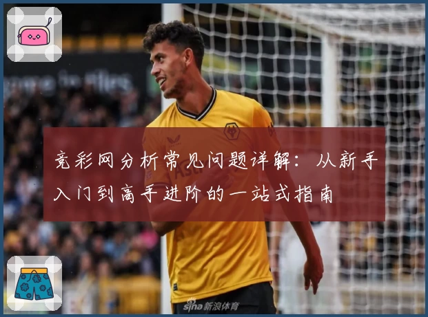竞彩网分析常见问题详解：从新手入门到高手进阶的一站式指南